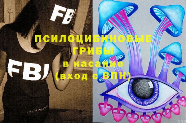 дживик Верхний Тагил