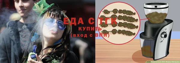 дживик Верхний Тагил
