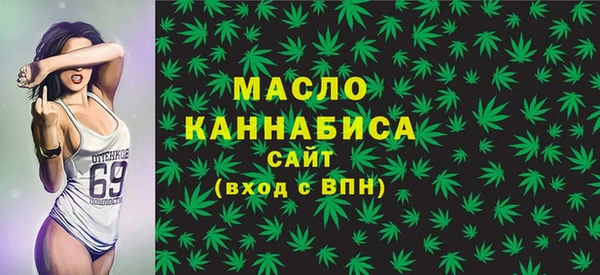 дживик Верхний Тагил