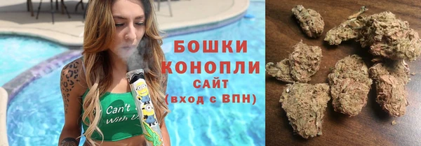 дживик Верхний Тагил