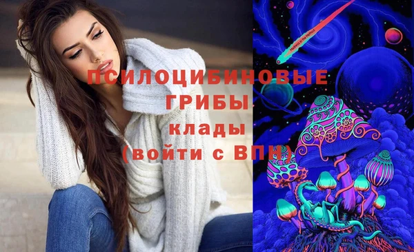 дживик Верхний Тагил