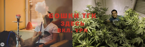 дживик Верхний Тагил