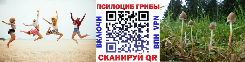 Галлюциногенные грибы GOLDEN TEACHER  Купить  Крымск 